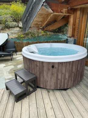 Beau chalet GUSTAVE 4 chambres 50m piste Huez Express